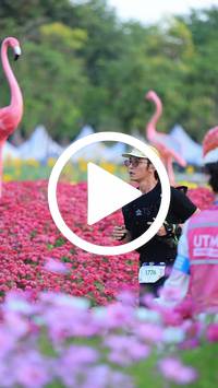 BIB:  <button type="button" onclick="openModal(27583136)" class="btn btn-primary btn-sm float-right" data-toggle="modal" data-target=".modal-high-quality">
                <i class="fa fa-download"></i> Download
                </button>